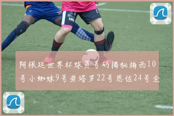 阿根廷世界杯球员号码揭秘梅西10号小蜘蛛9号劳塔罗22号恩佐24号全解析