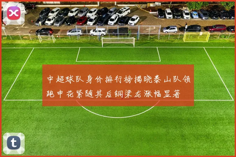 中超球队身价排行榜揭晓泰山队领跑申花紧随其后铜梁龙涨幅显著